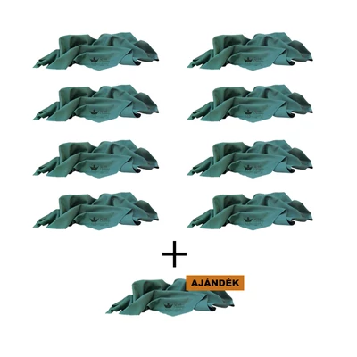 8+1 SZETT